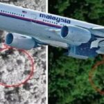 Replik atas hilangnya Pesawat MH 370 milik Malaysia Airlane tujuh tahun lalu. Foto Times